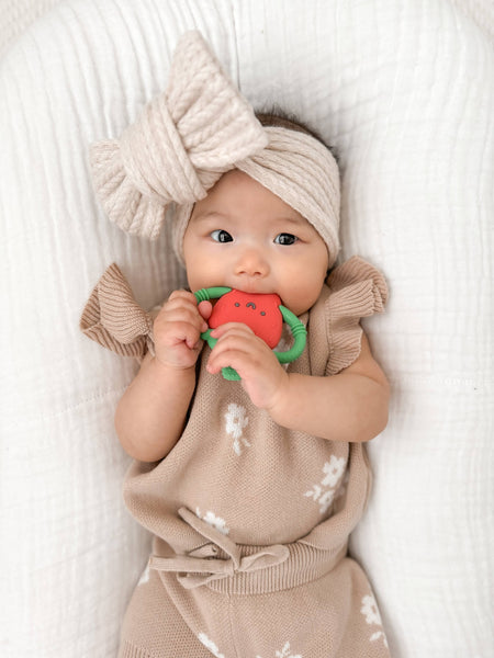Strawberry Chew Toy