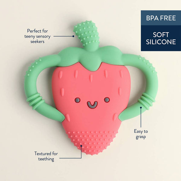 Strawberry Chew Toy