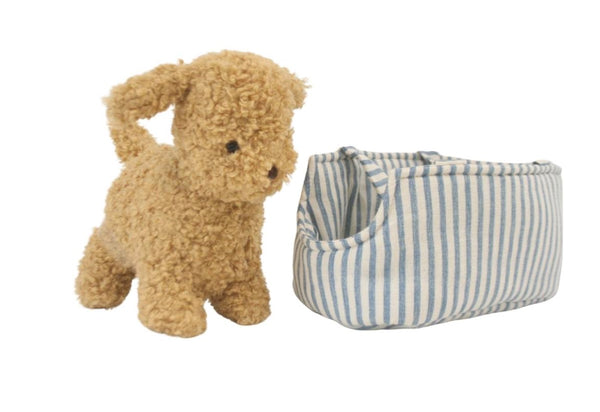 Toffee the Puppy & Carrier