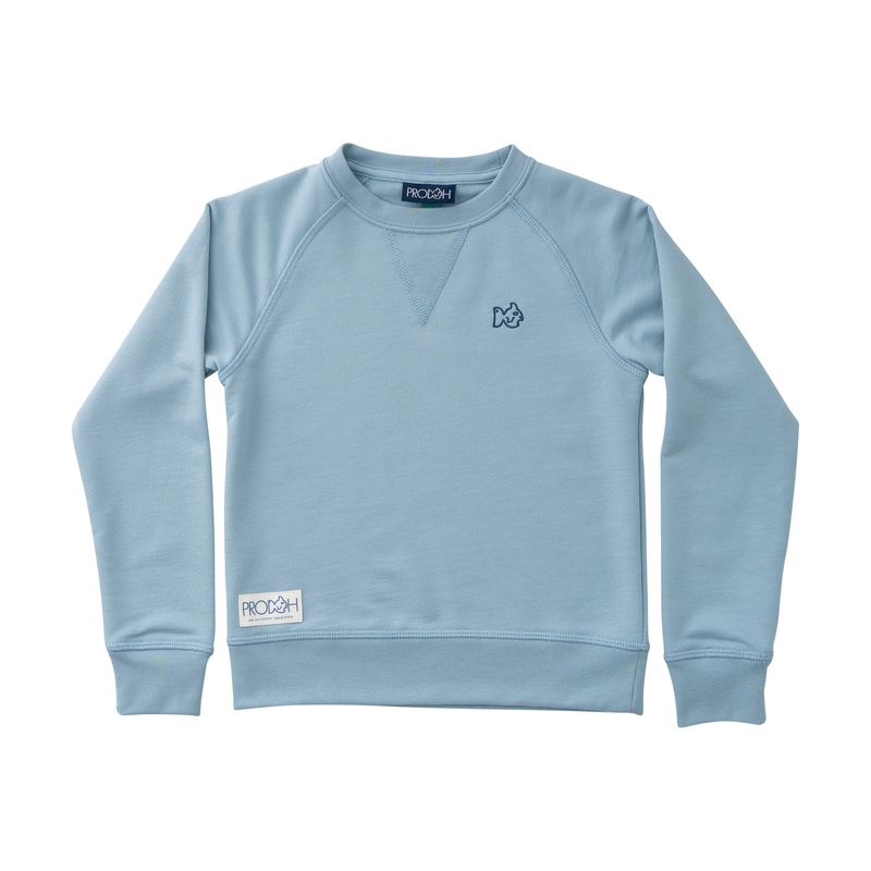 Crew Control Sweatshirt- Ash Blue