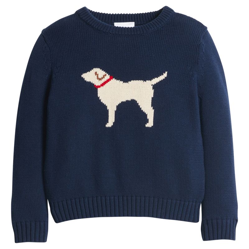 Intarsia Sweater- Boy Lab