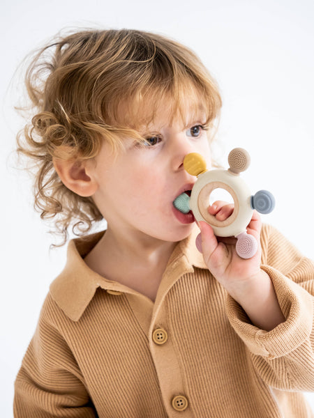 Sensory Teether: Multi