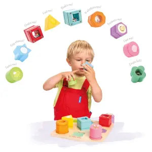 Petilou Sensory Shapes